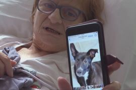 У Польщі пацієнтам хоспісів пропонують дозволити зустрічі з домашніми вихованцями