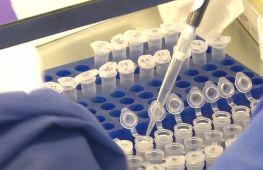 У ДРК почалися випробування експериментального препарату для лікування Еболи
