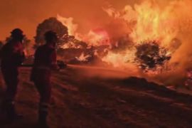 Лісові пожежі в Іспанії знищили 30 тисяч гектарів лісу