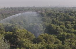 В Іспанії захищають ліси від пожеж водяними гарматами