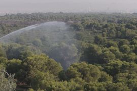 В Іспанії захищають ліси від пожеж водяними гарматами